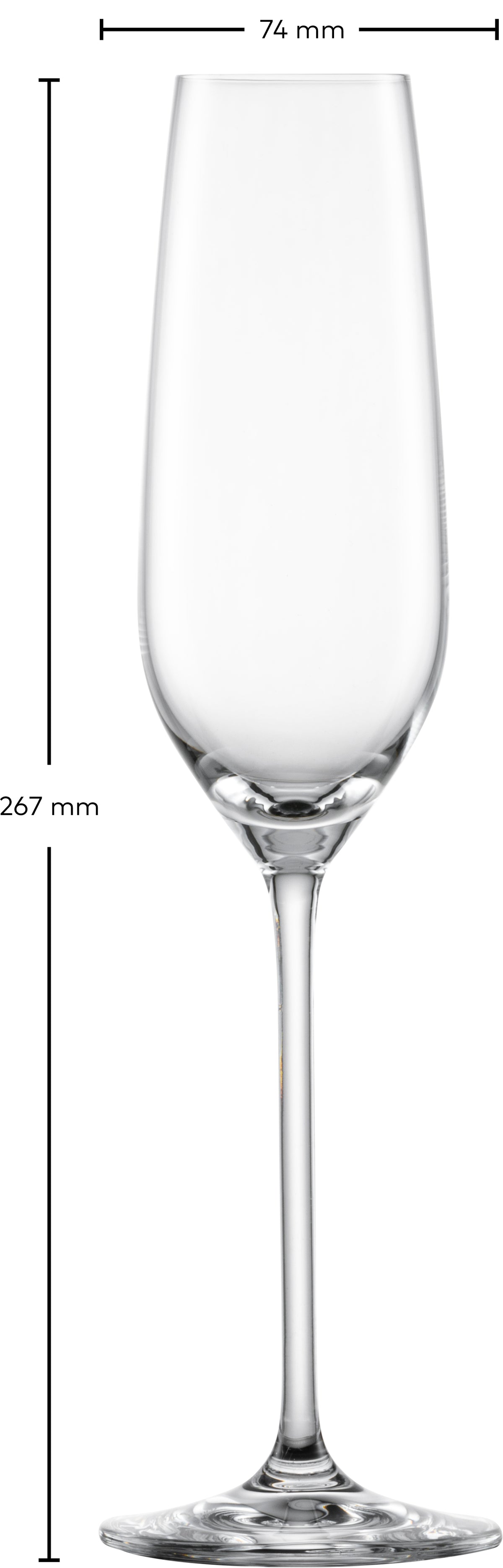Schott Zwiesel Fortissimo Champagne Glass Set of 4