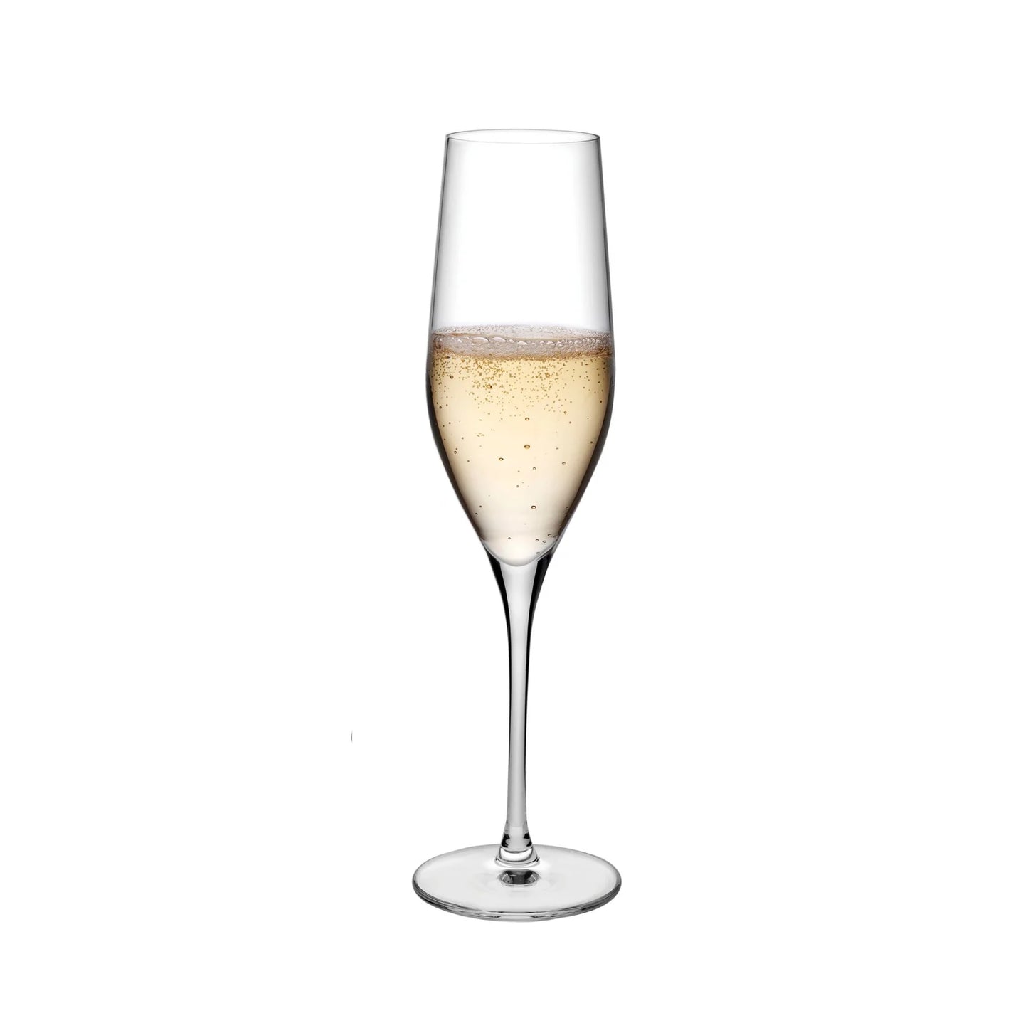 Vinifera Set of 6 Champagne Glasses